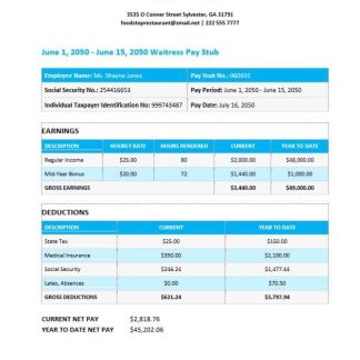 USA Wynn Resorts hospitality company pay stub download template file