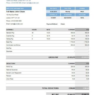 USA YORK Transportation & Logistics LLC earning statement in Word and PDF formats download template file