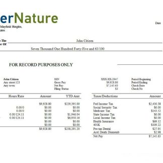 USA Zenefits technology company pay stub download template file