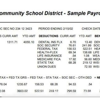 utility company payslip template in Word and PDF formats. download template file