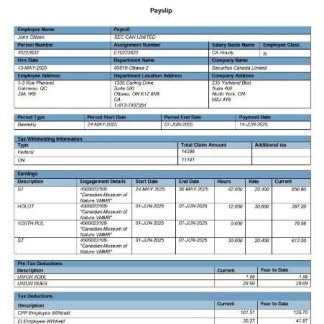 CANADA BANKAPP LLC earning statement in excel and PDF formats download template file