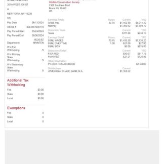 Vervali Systems software company payslip template in Word and PDF formats.pdf, 1 download template file