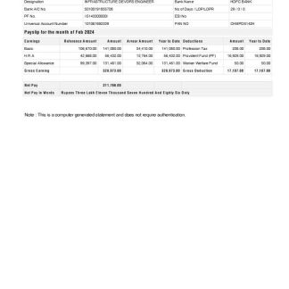 veterinary medicine company earning statement in Word and PDF formats download template file