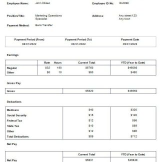 VFS Capital payslip template in Word and PDF formats.pdf, 1 download template file