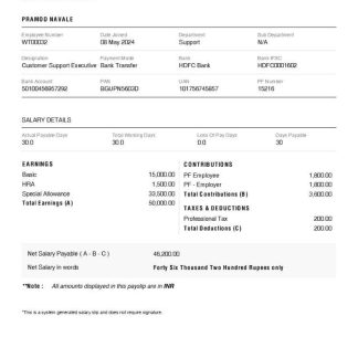 Vibrant Energy VEH Global India payslip template in Word and PDF formats.pdf, 1 download template file