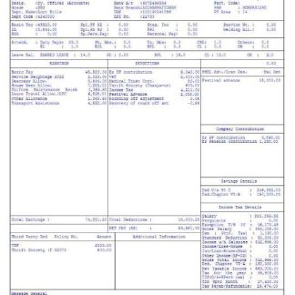 video game company paystub template in Word and PDF formats download template file