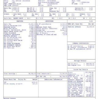 Vishal Retail LTD payslip template in Excel and PDF formats.pdf, 1 download template file