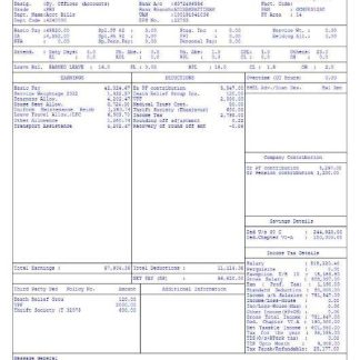 Vizen Life Sciences pharmaceutical company payslip template in Word and PDF formats.pdf, 1 download template file