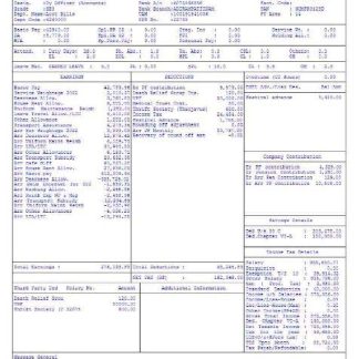 VRTek Consulting payslip template in Word and PDF formats.pdf, 1 download template file