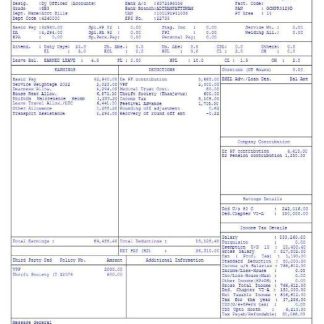 WAHPBC PayStub Lawanda Gardiner download template file