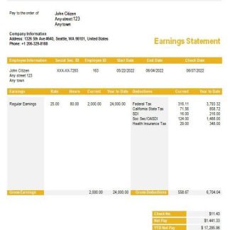 Waitress Pay Stub Template download template file