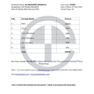 WELLSTAR HEALTH SYSTEM pay stub template in Word and PDF formats.pdf, 1 download template file