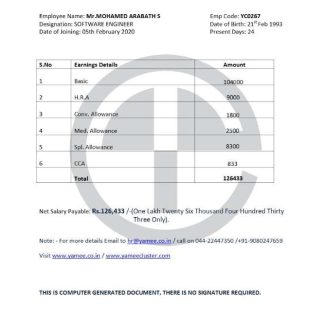 WELLSTAR HEALTH SYSTEM pay stub template in Word and PDF formats.pdf, 2 download template file