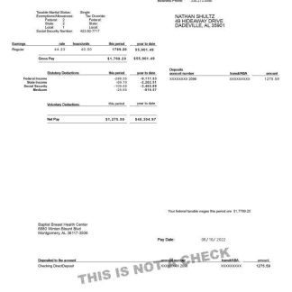 ADP Earnings Statement download template file