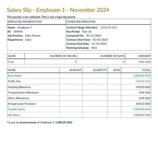 Canadian Check Pay Stub Template download template file