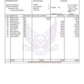 Wildlife Conservation Society pay statement template in Word and PDF formats.pdf, 1 download template file
