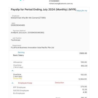 Wisdom Bridge Management Consultants payslip template in Word and PDF formats.pdf, 1 download template file