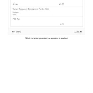 Wisdom Bridge Management Consultants payslip template in Word and PDF formats.pdf, 2 download template file