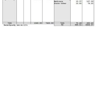 Wisdom Bridge Management Consultants payslip template in Word and PDF formats.pdf, 3 download template file