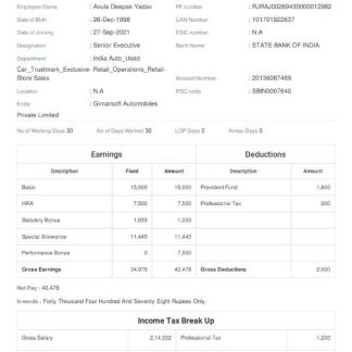 Car Wash Paystub Word and PDF template download template file