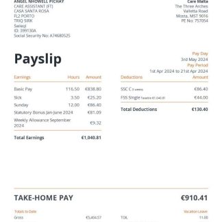 CarDekho payslip template in Word and PDF formats.pdf, 2 download template file