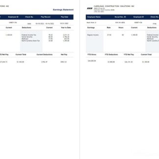 Care Malta payslip template in Word and PDF formats.pdf, 1 download template file