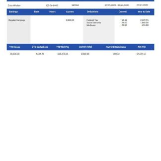 Carolinas Construction Solutions Paystub download template file