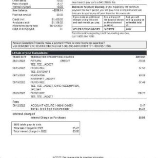 casiola llc earnings Employee Paystub download template file