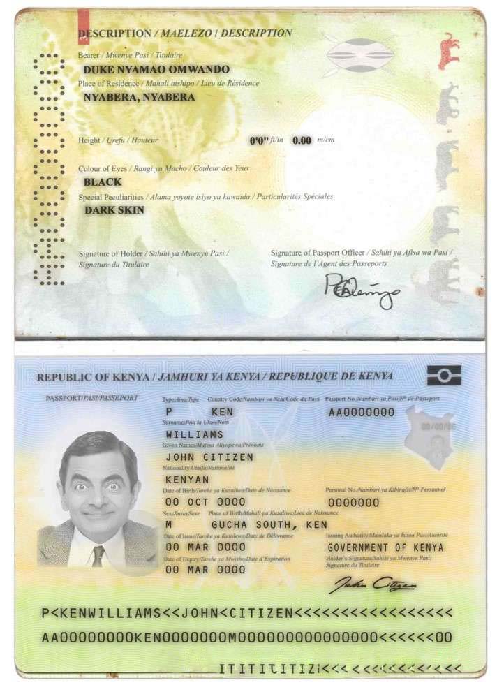 Kenya Passport 2017 Download Template File