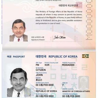 Korea Passport v2 Download Template File