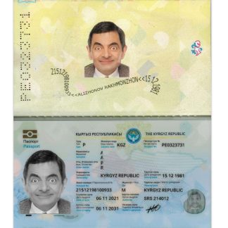 Kyrgyz Passport 2021 Download Template File