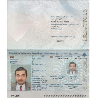 Lebanon Passport 2021 Download Template File