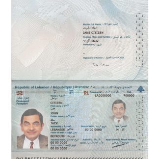 Lebanon Passport 2022 Download Template File