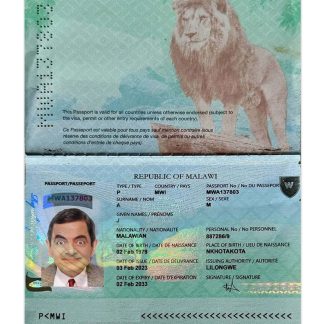 Malawi Passport 2023 Download Template File