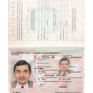 Mexico Passport 2017 Download Template File