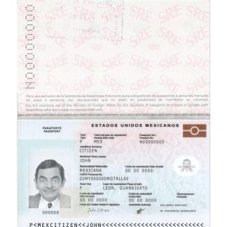 Mexico Passport 2022 Download Template File
