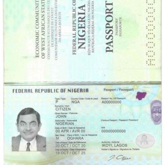 Nigeria Passport 2019 Download Template File