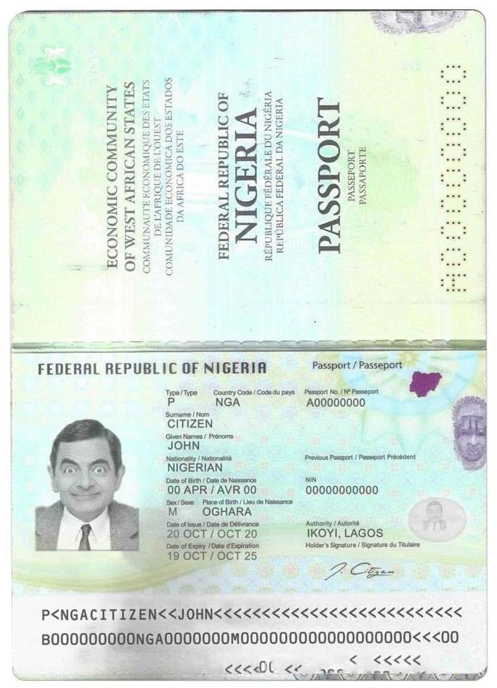 Nigeria Passport 2019 Download Template File