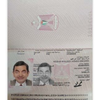 Palestine Passport 2023 Download Template File
