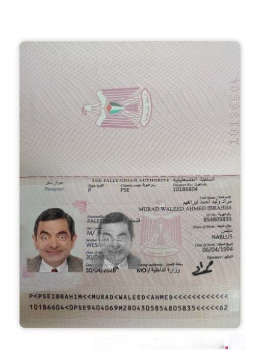 Palestine Passport 2023 Download Template File