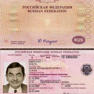 Russia Travel Passport Download Template File