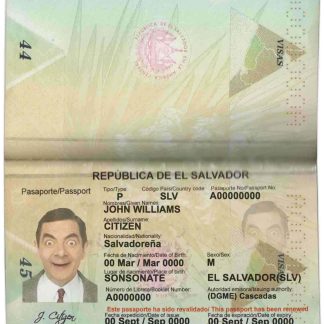 Salvador Passport Download Template File