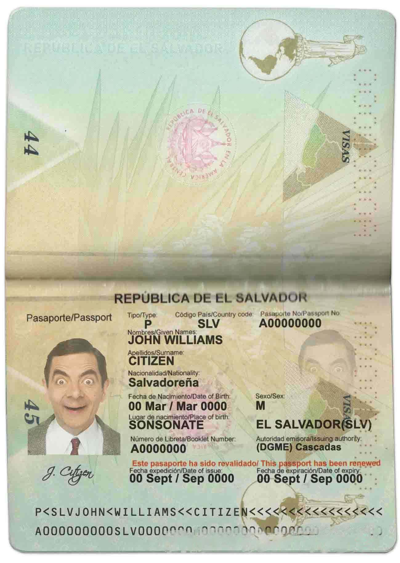 Salvador Passport Download Template File