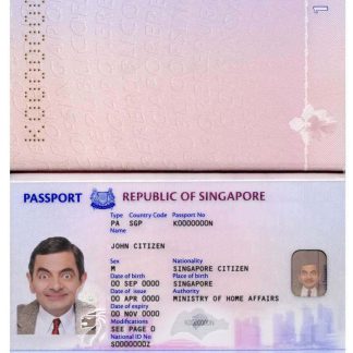 Singapore Passport 2017 Download Template File