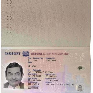 Singapore Passport 2006 Download Template File