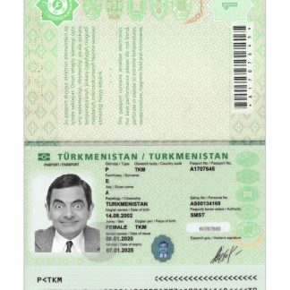 Turkmenistan Passport 2020 present Download Template File