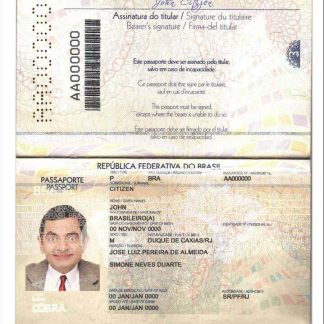 Brazil Passport 2019 Download Template File