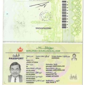 Brunei Passport Download Template File
