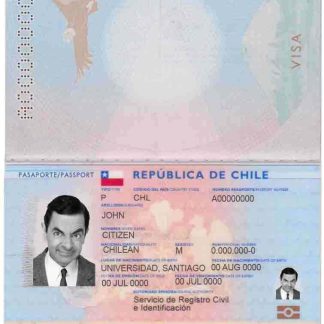 Chile passport download template file