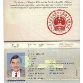 China pass (2007 2009) download template file